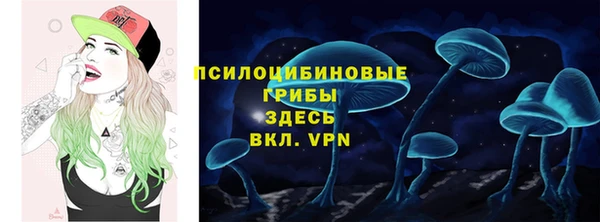 шишки Алзамай