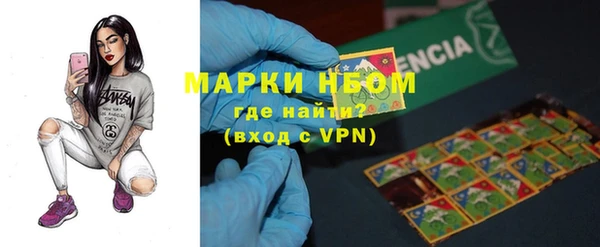 шишки Алзамай
