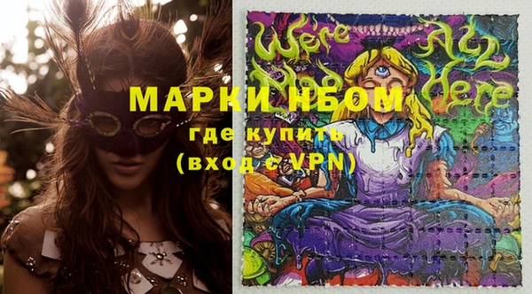 шишки Алзамай