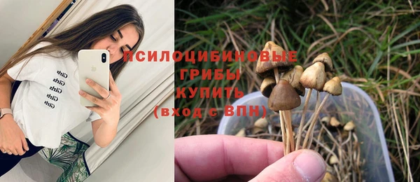 ПСИЛОЦИБИНОВЫЕ ГРИБЫ Алексин