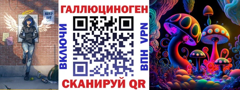 Псилоцибиновые грибы Psilocybe  Ачинск 